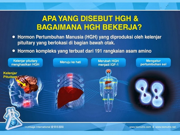 biospray - pertumbuhan sel